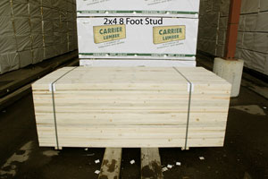 2 x 4 8ft Studs