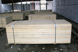 2 x 4 9ft Studs
